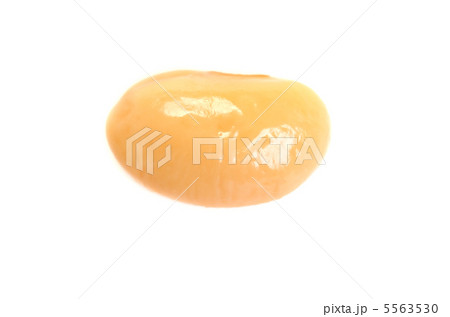 大豆 5563530