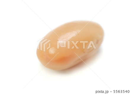 大豆 5563540
