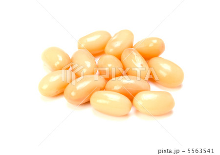 白いんげん豆 白いんげん豆 5563541