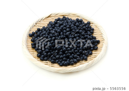黒豆 5563556