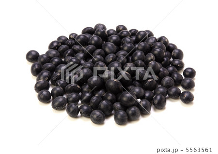 黒豆 5563561