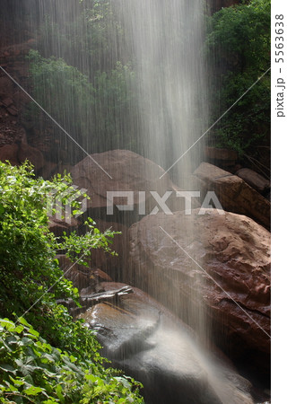 エメラルド・フォールｽﾞ（ザイオン国立公園） 5563638