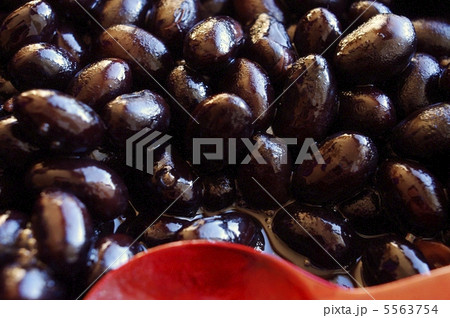 黒豆 黒豆 5563754