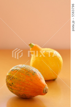 カボチャ 5563796