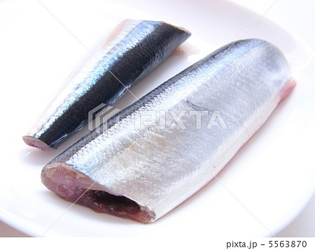 秋刀魚の切身の写真素材