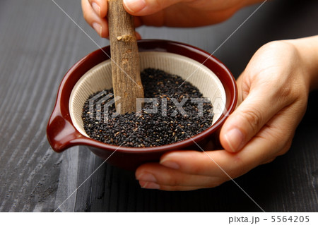 ごますり 5564205