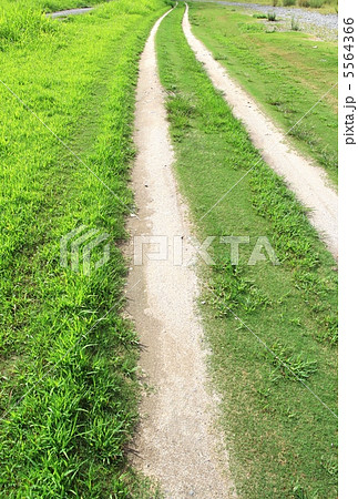草原のわだち(縦) 5564366