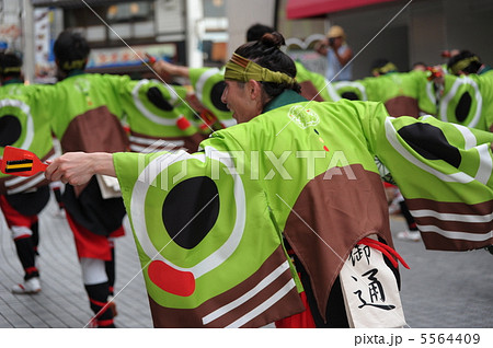 土佐の夏　よさこい祭りは楽しい　 5564409