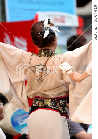 土佐の夏　よさこい祭りは楽しい　 5564419