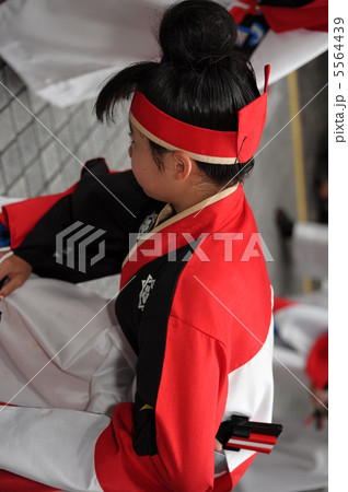 土佐の夏　よさこい祭りは楽しい　 5564439