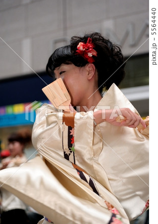 土佐の夏　よさこい祭りは楽しい　 5564440