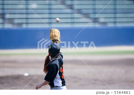 女子野球 女子野球 5564861