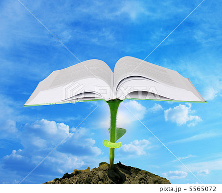 Knowledge concept 5565072