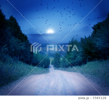 Moon road 5565126