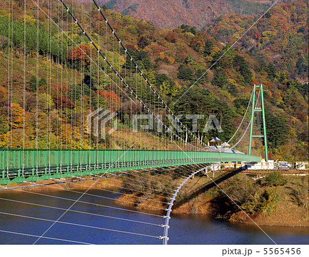 もみじ谷大吊橋 もみじ谷大吊橋 5565456