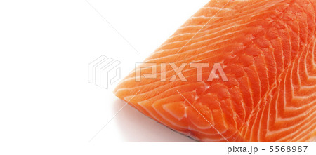 uncooked fresh salmon fish 5568987