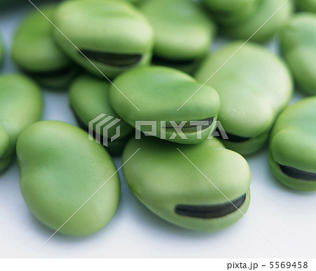 A heap of broad beans isolated on white A heap of broad beans isolated on white 5569458