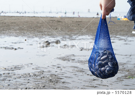 潮干狩り 潮干狩り 5570128