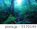静寂 5570149