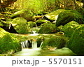 白谷雲水峡 5570151