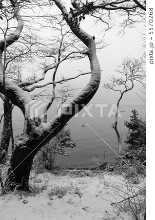 雪の湖畔 5570268