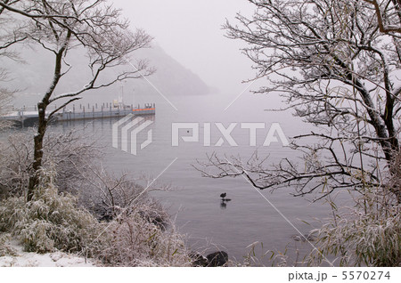 雪の湖畔 雪の湖畔 5570274