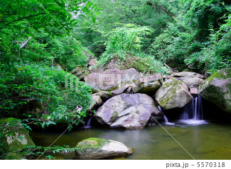 岐阜県　竜吟の滝（あんま滝）　The Ryugin Falls(The Third Falls)  5570318