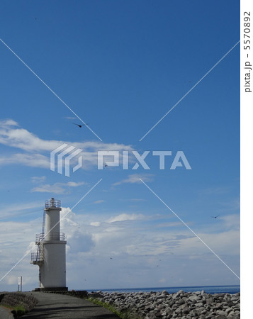 戸田灯台　青空　トンボ 5570892