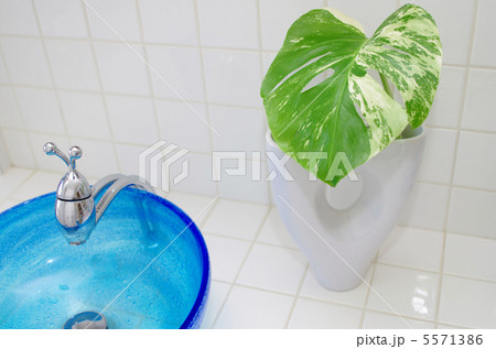 モンステラと琉球ガラスの洗面ボール モンステラと琉球ガラスの洗面ボール 5571386
