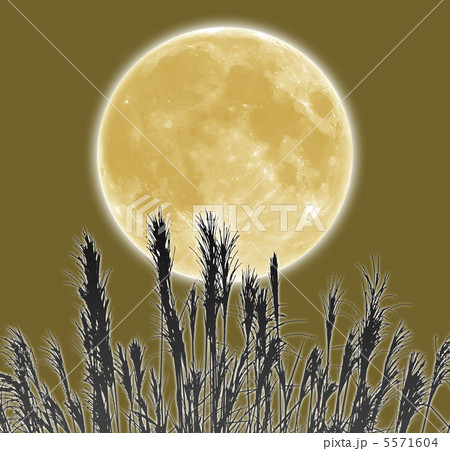 お月見 お月見 5571604