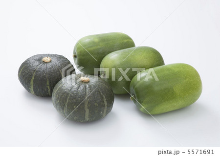 カボチャと冬瓜 5571691