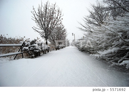 積雪の散策路 5571692