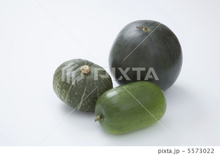 夏の瓜3種 5573022