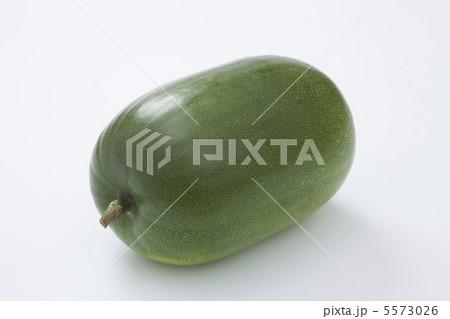 冬瓜 5573026