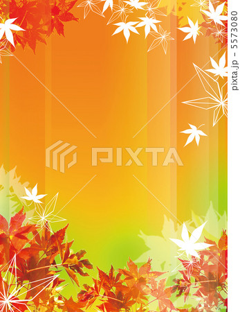 紅葉 5573080