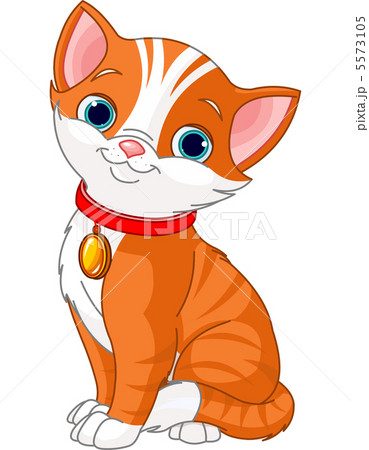 Cute cat 5573105
