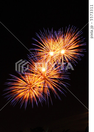 花火 5573311