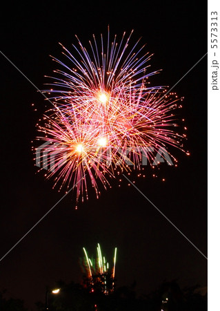 花火 花火 5573313
