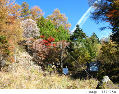 八ヶ岳・阿弥陀岳と飛行機雲 5574250