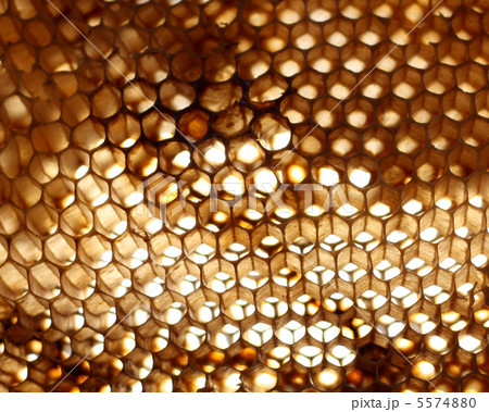 honeycomb background honeycomb background 5574880