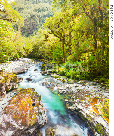 The Chasm The Chasm 5575262