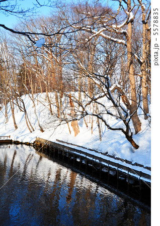 静寂の池 静寂の池 5578835