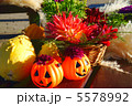 手造りのハロウィン　 5578992