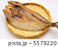 ほっけ 5579220