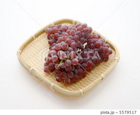 ぶどう 5579517