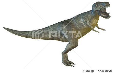 T-REX☆ティラノサウルス 5583056