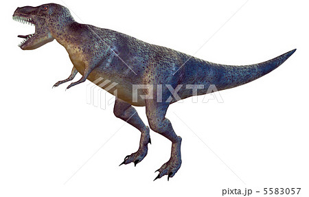 T-REX☆ティラノサウルス 5583057