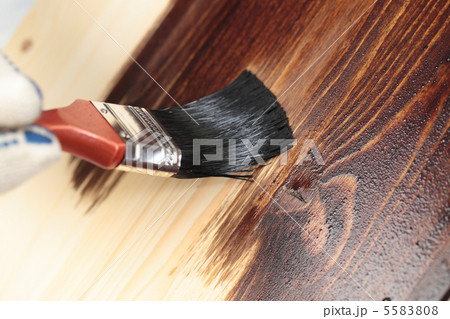 Varnishing a wooden shelf 5583808