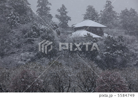 梅花に雪が舞う　静寂の偕楽園　好文亭の佇まい　人物なし 5584749