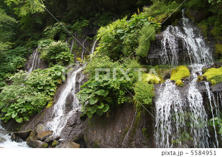 吐竜の滝  夏6 5584951